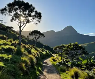 Descubra a Montanha Leite Sol em Bragança Paulista: Uma Joia Natural