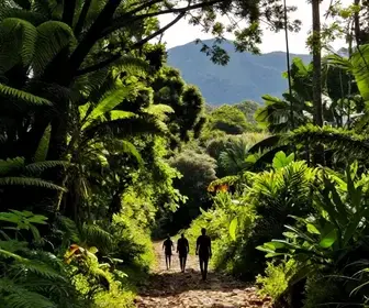 Explore as Trilhas em Bragança Paulista: Uma Aventura na Natureza